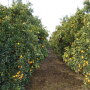 E405B1BF-E82D-4A39-9431DB33A45A424A.jpg