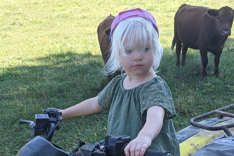 Submitted by Dana Jenkins.