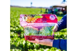 Tanimura & Antle's new artisan baby iceberg lettuce.