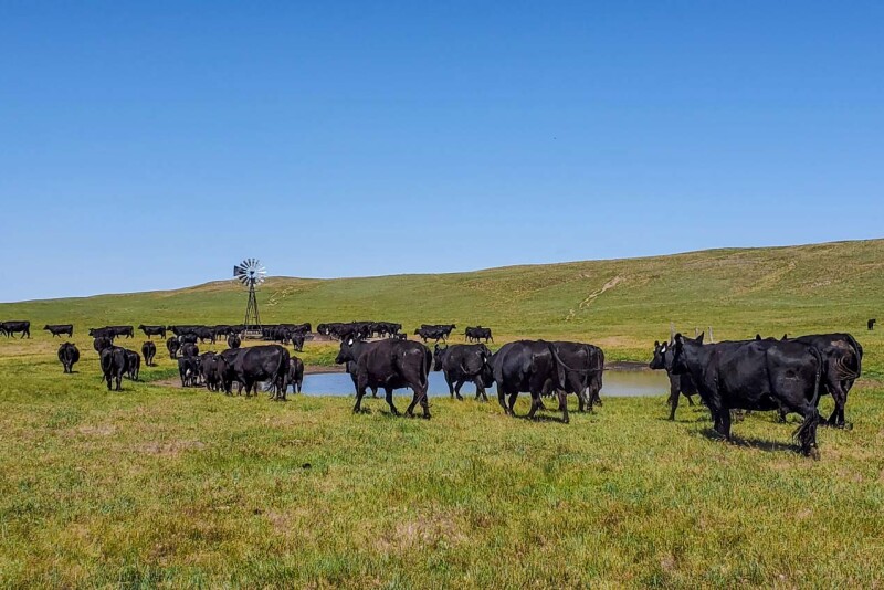 Dumbbell Ranch, Nebraska