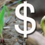 corn-soybean-price.jpg