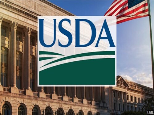 We’re looking for updates on grain exports and updates on Argentina and Brazil production when the USDA releases its March 2023 report.