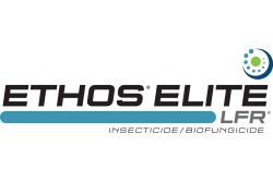 Ethos Elite.jpg