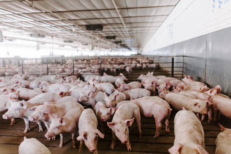 Farmers are quickly adapting to COVID-19 challenges so their products can safely and efficiently travel from farm to the hands of consumers. 