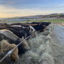 J & S Feedlot