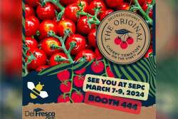 DelFrescoPure cherry tomatoes