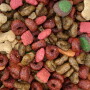 Dry Dog Food