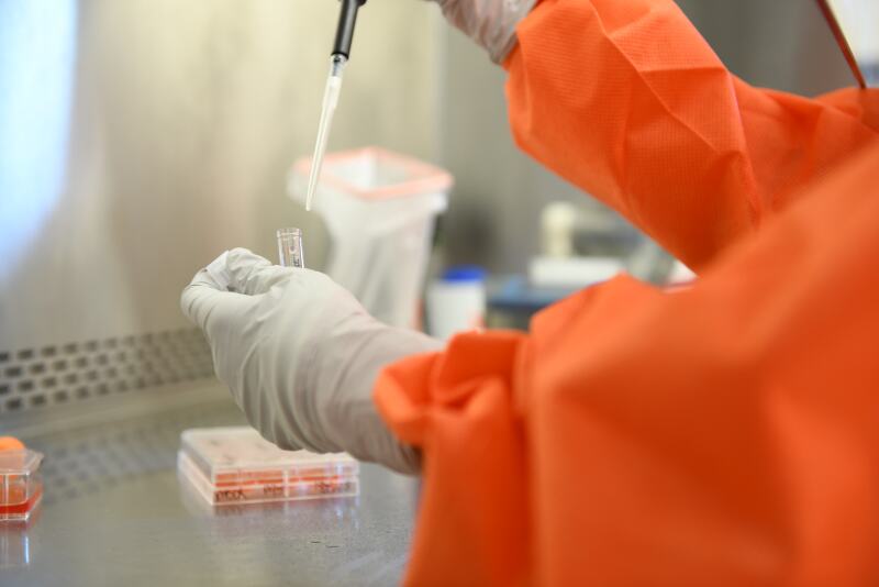 This month, the VIDO-InterVac facility will begin work with the virus in its Containment Level 3-Agriculture facility in Saskatoon. It is the first non-government facility to work with the virus in Canada.