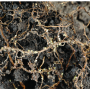 Soybean Cyst Nematode is the single most damaging pest in U.S. soybeans. 
