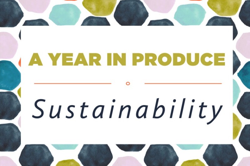 YIP - Sustainability-1.jpg