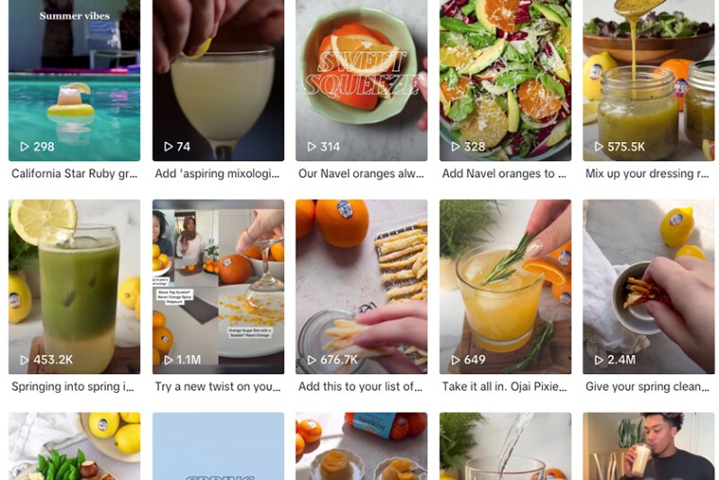 Screenshot of Sunkist Growers TikTok page