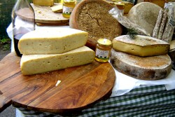 Cheese_Free_Images