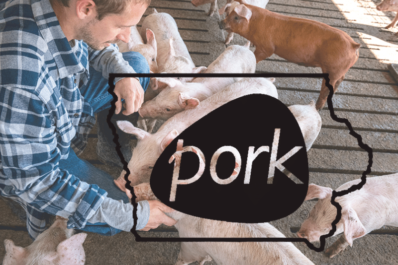 Iowa Pork with Pig Farmer