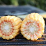 corn_ear_2013.jpg