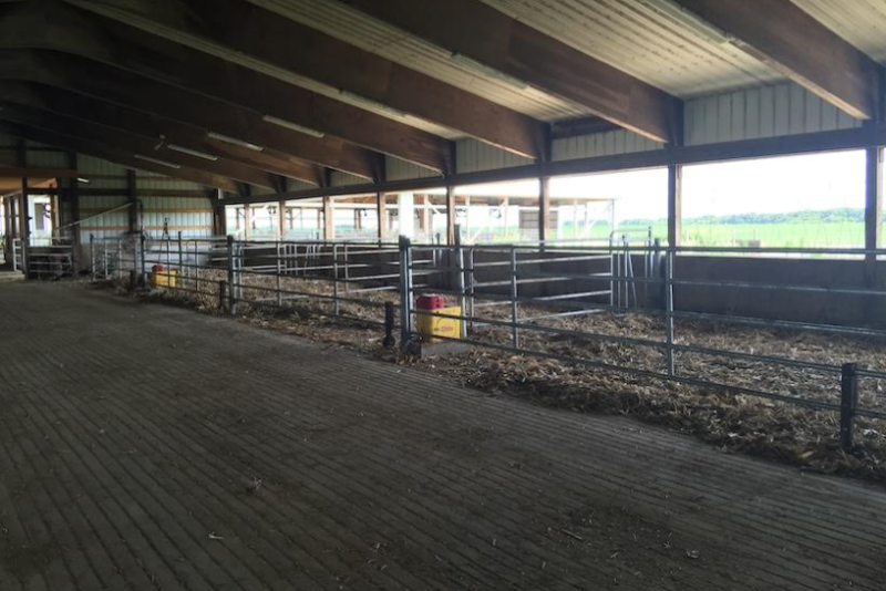 maternity pen.PNG