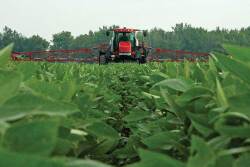 Because boron is not mobile in plants, multiple applications might be needed  during the growing season. If you mix boron fertilizer with other products, make sure they are compatible and have good agitation in your spray tank.