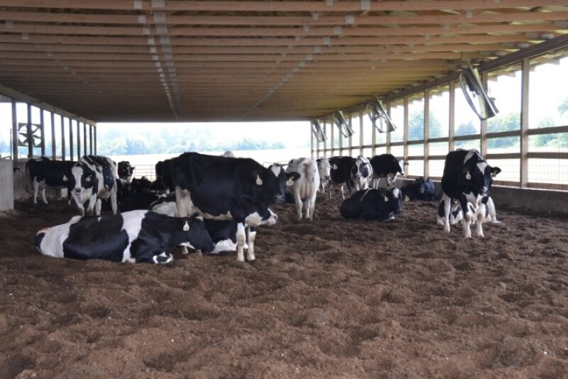 DT Compost Bedded Pack