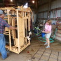 Weaning_Calves