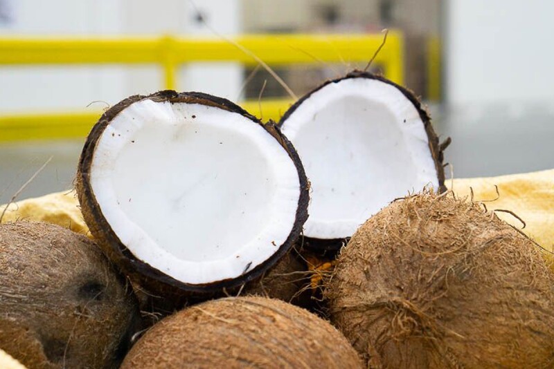 Coconut.jpg