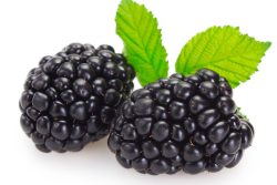 Blackberry