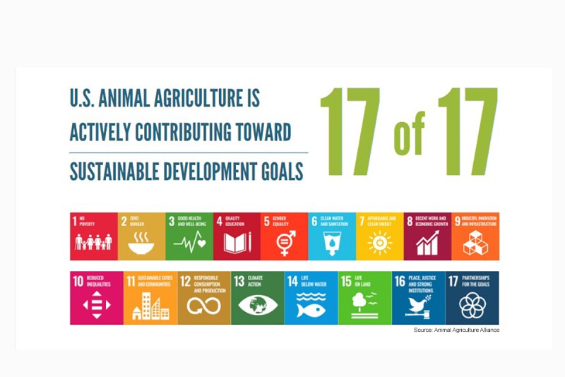 U.S. Animal Ag Contributes to All 17 U.N. Sustainable Development