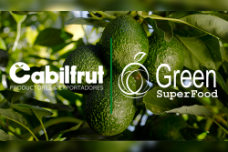 Cabilfrut and Green SuperFood logos with avocado background