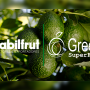 Cabilfrut and Green SuperFood logos with avocado background