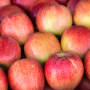 gala apples