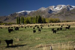 Nevada Clover Valley Ranch