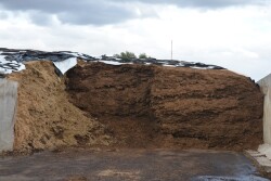 Silage_Pile