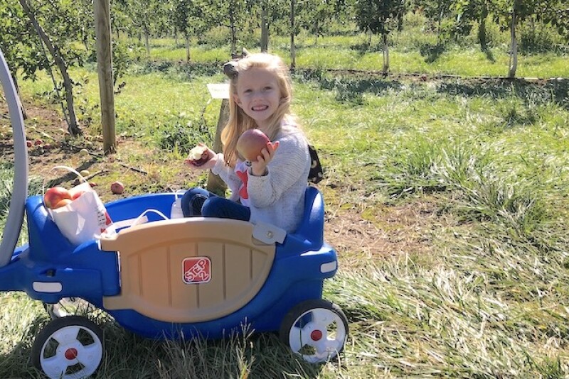 Emmelia Sakelaris, 5, snacks on an apple after she fills her bag Oct. 3, at the Eastern Produce Council's 6th annual Joe DeLorenzo Family Apple-Picking Event at Melick's Cider Mill and Orchard, Oldwick, N.J.