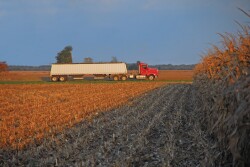 The drastic shift in prices from planting to harvest likely has farmers thinking a little differently about next year’s strategy than perhaps they expected.