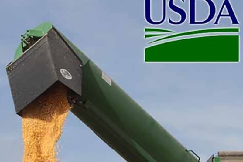 USDA expected to lower corn yields in the September report