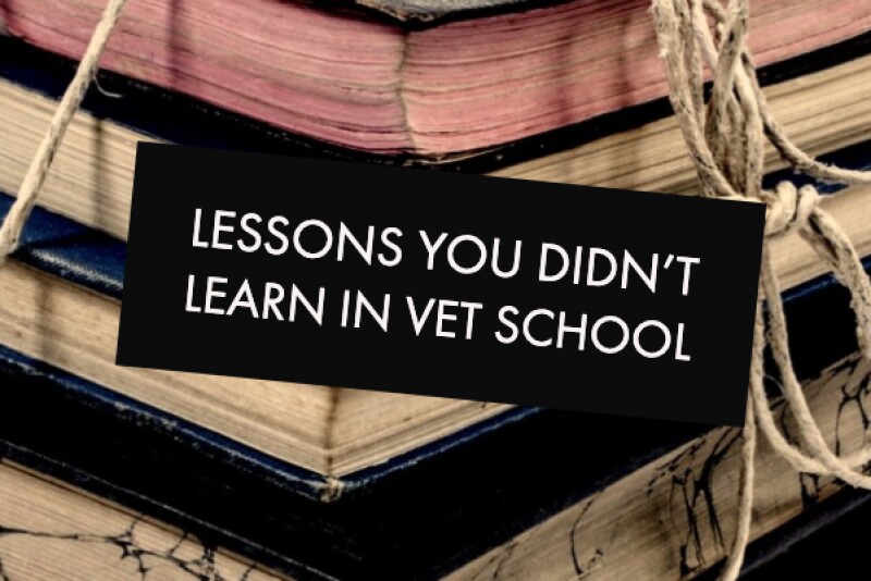 Veterinarians share the lessons they wish they'd learned in veterinary school. 