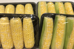 Sweet corn volume is ramping up in Florida and then up along the East Coast.