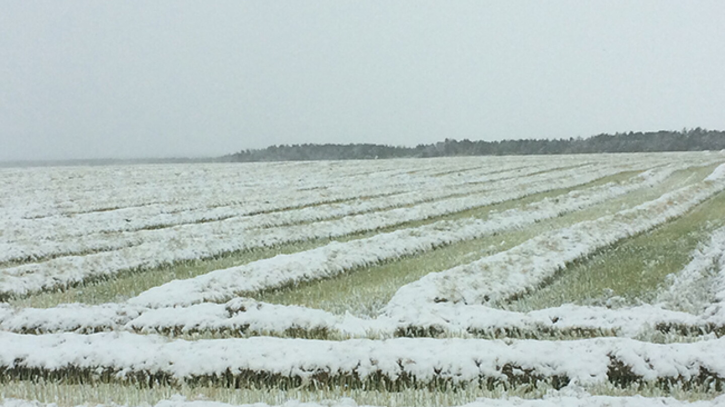 Snow Compating How to Combine in Snow - AgWeb