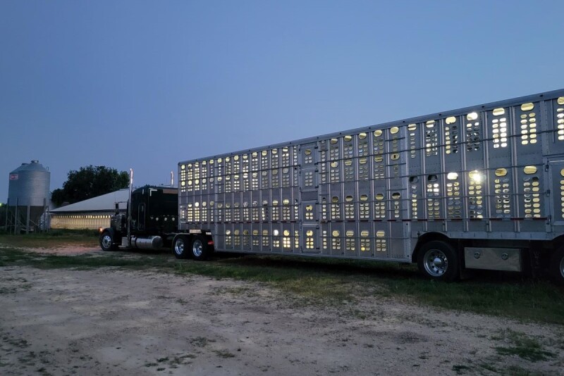 Farm Health Guardian Biosecurity Breach Alerts