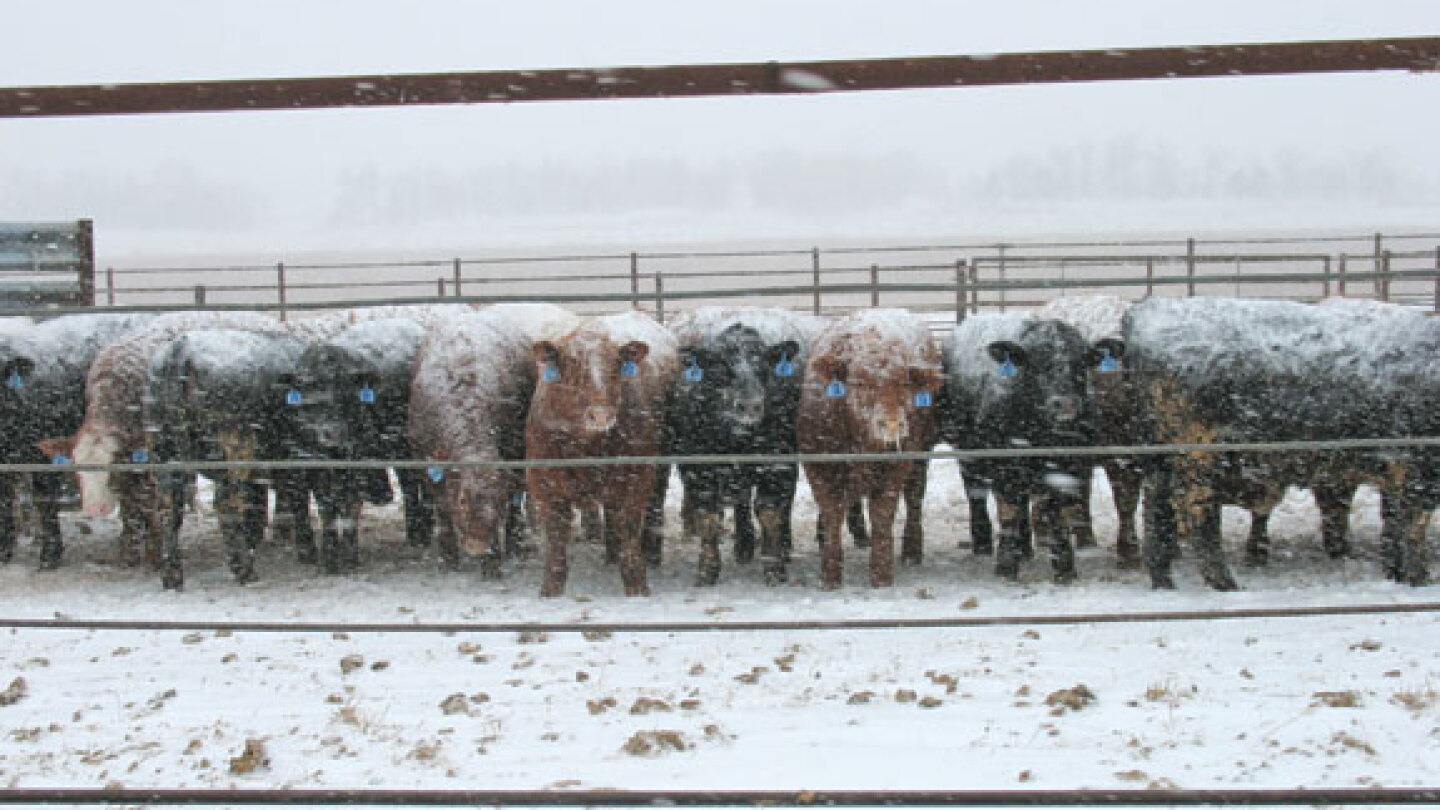 Disaster Relief Programs Available From USDA Farm Service Agency - AgWeb