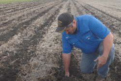 False Bottom Strip Tillage