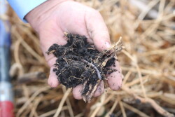 “In my view, the regenerative ag movement can focus more on the biological aspects,” North Dakota crop consultant Lee Briese says. 