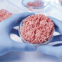 A stock image of a raw ground meat sample in a petri dish to illustrate lab-grown protein. 