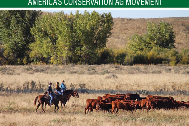 "Land is the foundation of the ranch. You have to take care of the soil and the grass." —Toby Johnson
