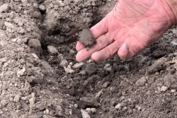 Teach you planter to dance in wet soils.