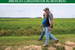 How our partners helped farmers on their stewardship journey in 2020.