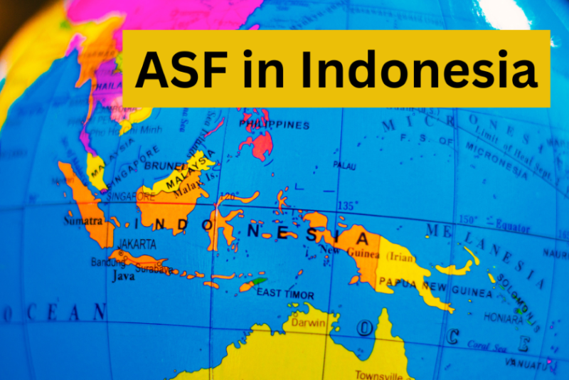 ASF in Indonesia