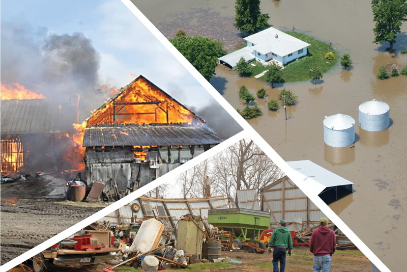 Losses incurred in 2018 will be paid at 100% of the damages. Losses in 2019 will be paid at 50%. 