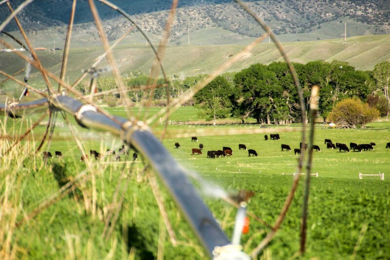 JA Land & Cattle, WY