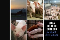 Health Outlook for Pork Industry 2024