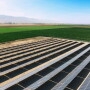 Solar panels at Merrill Farms.