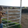 BT_Cattle_Smart_Phone